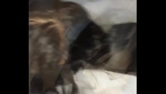 Yoğun Amcık Sikişi Ve Oral Eylem Içeren Genç Kızın Vahşi Kaydı