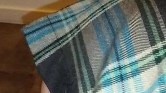 Kitten Cara, Pantolon Çoraplarıyla Aşağılanıp Süt Içiyor