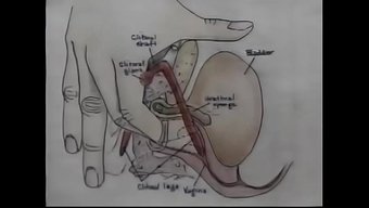 Kendi Kendine Orgazma Nasıl Ulaşacağınla Ilgili Seks Eğitimi Videosu