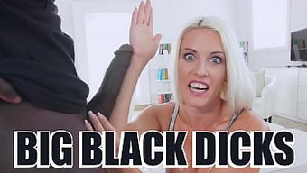 Bu Bangbros Derlemesinde, Irklararası Ve Siyah Güzellikler Büyük Siyah Yarrağı Tarafından Beceriliyorlar