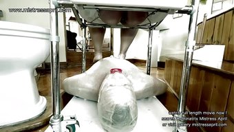 Mistress April Için Kölenin Sabah Görevleri