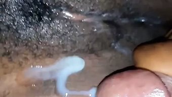 Genç Karı, Büyük Siyah Yarrağın Tüylü Amını Genişletiyor