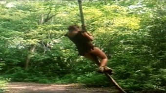 Tarzan Ile En Üst Düzey Macerayı Hd Olarak Yaşayın